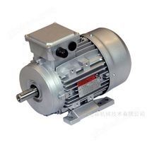 Chiaravalli电机CHT 100 LB4 B14 IE3