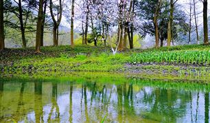 总投资55亿！内蒙古又一重大绿氢项目公示