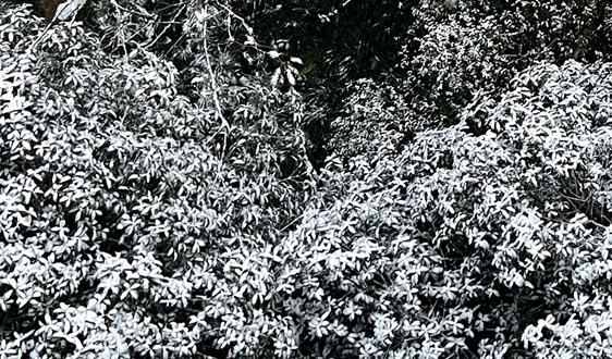 97.6億！具身智能開年最大單筆融資誕生，英偉達、三星都投了