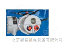 英國羅托克電動執行器