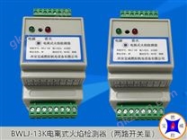 BWLJ-13K電離式火焰檢測器（兩路開關(guān)量信號）