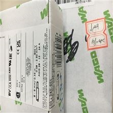 WAGO控制器模块750-306有现货发货快速