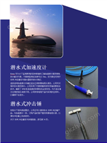 潛水式加速度計(jì)&潛水式?jīng)_擊錘