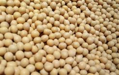 政策解读|福州市关于调动农民种粮积极性促进粮食生产九条措施