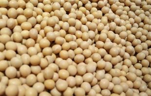 政策解读|福州市关于调动农民种粮积极性促进粮食生产九条措施