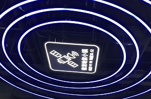 2025年軟件與信息技術(shù)服務(wù)業(yè)市場：從“工具”到“共生伙伴”