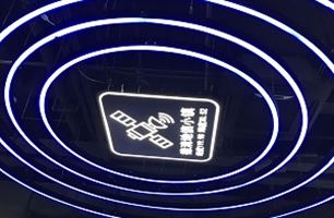 2025年軟件與信息技術(shù)服務(wù)業(yè)市場(chǎng)：從“工具”到“共生伙伴”